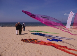 10344146_649620838420206_4758899800368975618_o