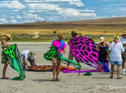 1452398_556489827755075_91026230_n