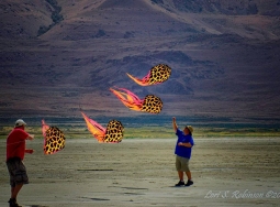 1462991_556489097755148_2065399441_n