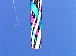 005