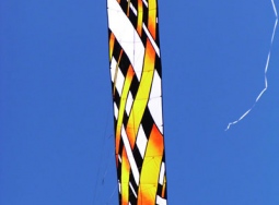 011