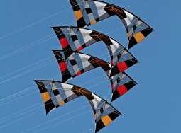 241684_10150198394519526_4381713_o