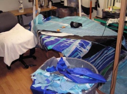 OLYMPUS DIGITAL CAMERA